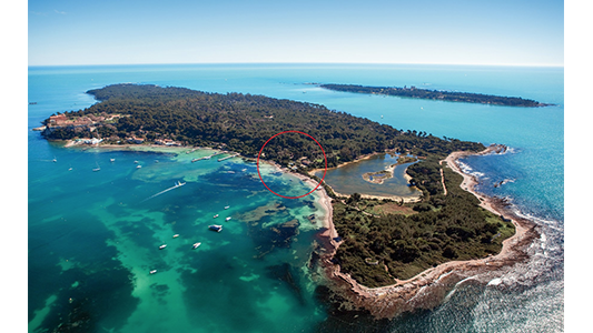 Motion unanime du Conseil Municipal de Cannes contre le projet de vente par le Gouvernement de la base nautique du Batéguier Florence Arthaud