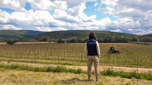 Mycophyto : « Changer les pratiques pour cultiver autrement »