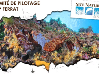 Les acteurs maritimes réunis hier à Villefranche-sur-Mer en comité de pilotage du site Natura 2000 Cap Ferrat