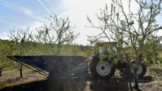  Le Roy René concrétise son pari de l'amande 100 % provençale