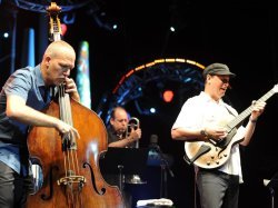 MUSIQUE : Touchons du bois !