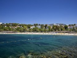 Toulon obtient le label Pavillon Bleu pour la 14ème année