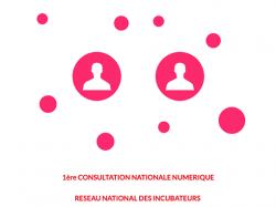 Avocats & Élèves-Avocats participez à la 1ère CONSULTATION NATIONALE NUMERIQUE RESEAU NATIONAL DES INCUBATEURS du 8 octobre 2017 – 18 novembre 2017 