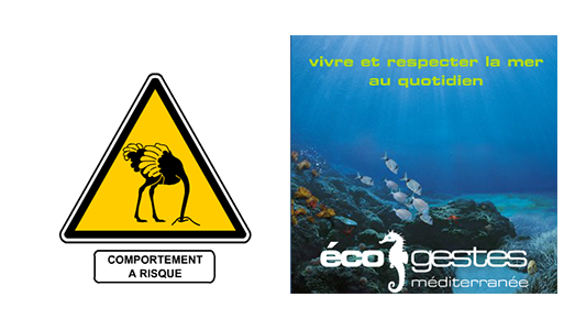 La Métropole Nice côte d'Azur engagée dans la campagne écogestes Méditerranée