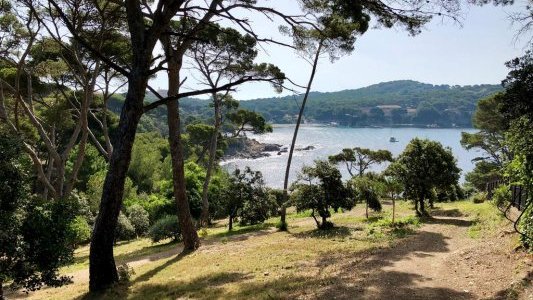 Dans le Var et les Alpes-Maritimes, l'ONF acteur de la prévention des incendies