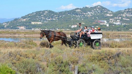 A Hyères, Les Salins, un site remarquable et exceptionnel
