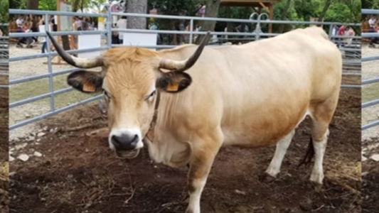 9ème édition du Salon des Agricultures de Provence