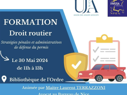 Formation UJA de Nice - Droit routier : stratégies pénales et administratives de défense du permis