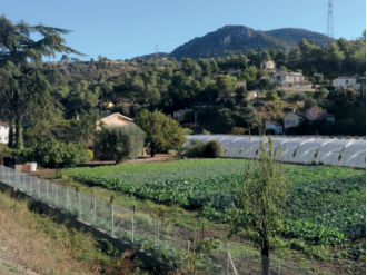 Agriculture dans les Alpes-Maritimes : après la tempête...