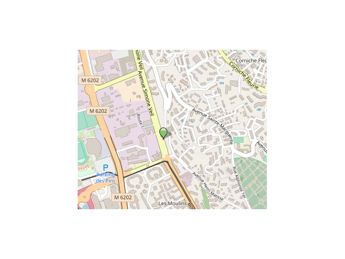 NICE : Un grand projet