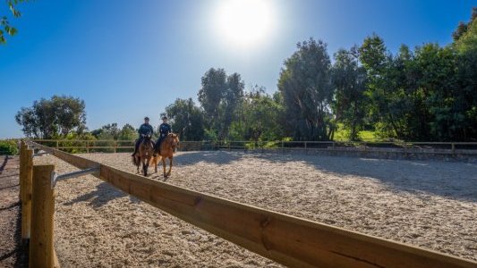 Cannes : Une nouvelle aire équestre dédiée à l'entraînement de la brigade municipale