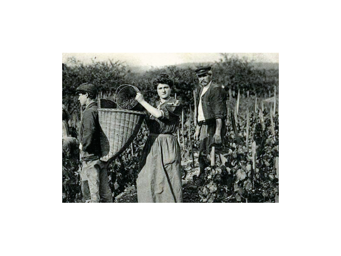 Foire aux vins : de (…)