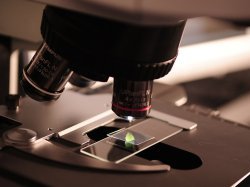 Commande publique : la dispense de mise en concurrence pérennisée pour les achats innovants inférieurs à 100 000 €