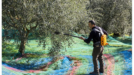 Agriculture : à la reconquête de l'espace, dans les Alpes-Maritimes !
