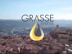 "Grasse perspective" : une marque collective