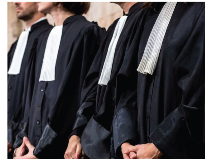 Les Petites Affiches (…)