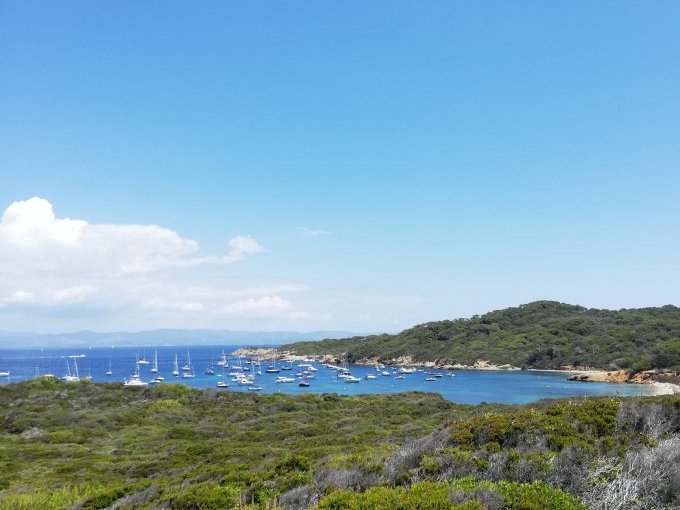 Porquerolles : une perle