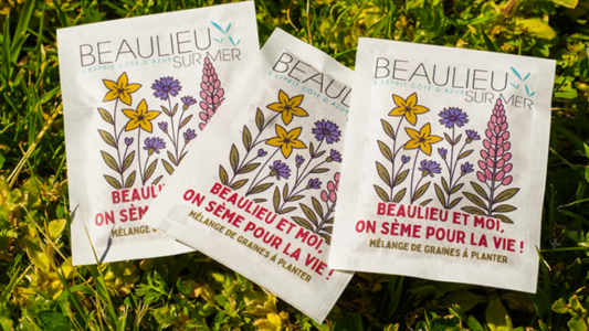 À Beaulieu, l'office de tourisme distribue des graines de fleurs pour soutenir la biodiversité
