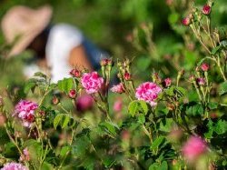 La Maison Lancôme renforce son ancrage à Grasse et devient propriétaire d'un domaine de 4 hectares
