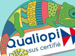 Entre nouveautés et « classiques », l'IRCE sur tous les fronts pour les entrepreneurs de la région