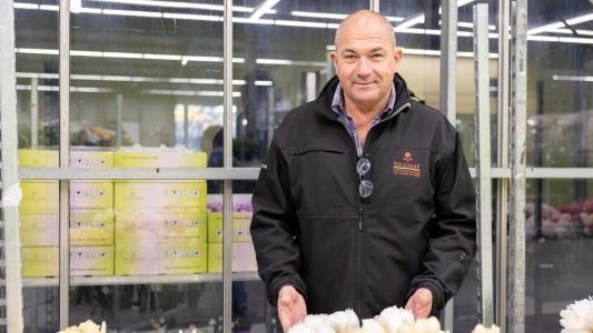 À Hyères, le Marché aux Fleurs, un joyau d'innovation agricole