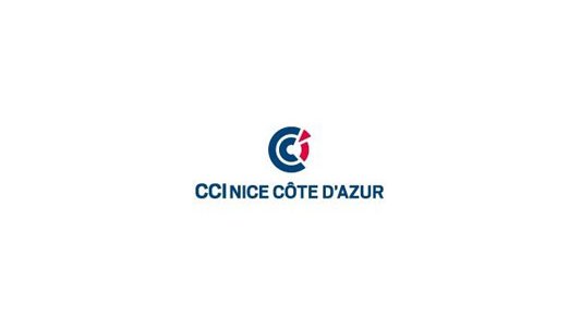 Grève à Air France : la CCI Nice Côte d'Azur tire la sonnette d'alarme