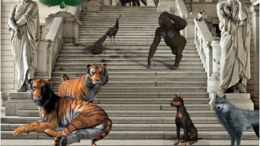 Colloque CERDP : L'animal saisi par les procédures