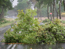 L'essentiel de l'actualité de ce vendredi 9 janvier
