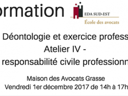 Formation EDA Sud Est : Cycle Déontologie et exercice professionnel Grasse. Atelier IV - La responsabilité civile professionnelle