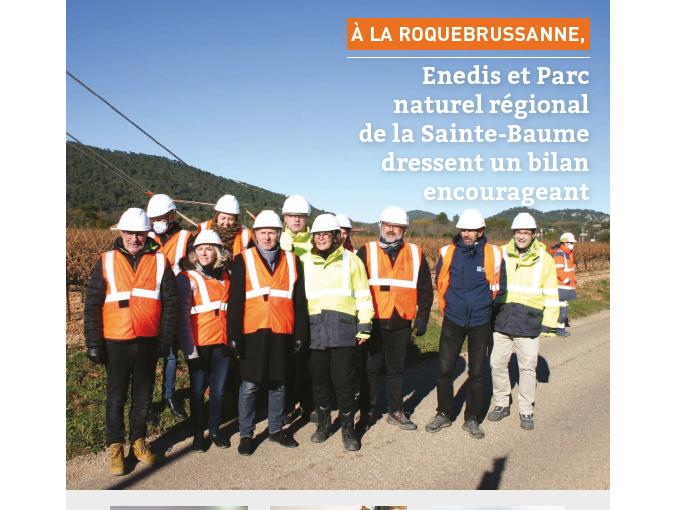 Petites Affiches VAR (…)