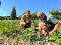 Vence : « Remettre de l'humain dans les champs »