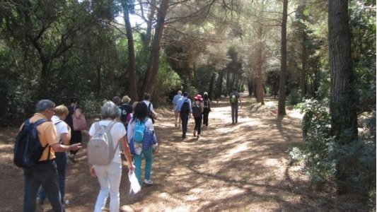 Les Journées Nationales de l'Archéologie à Cannes