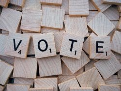Élection municipale partielle complémentaire de la commune de Rigaud 24 et 31 octobre 2021 : liste des candidatures