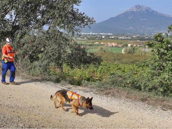 Avec VEOLIA, des chiens