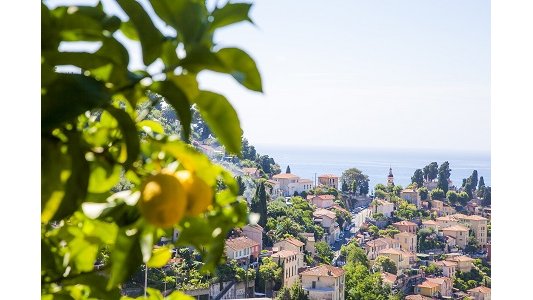 Le Citron de Menton, reconnu au plus haut niveau !