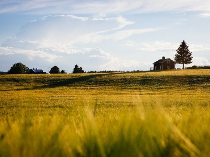 Marché immobilier : (…)