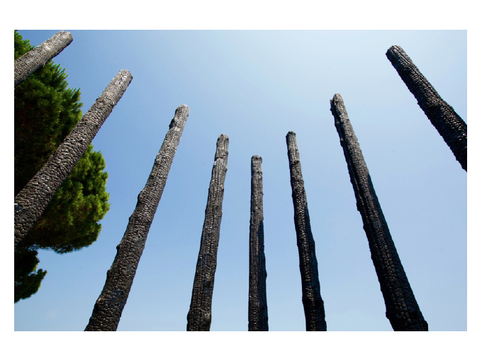 Les « Arbres Brûlés » (…)