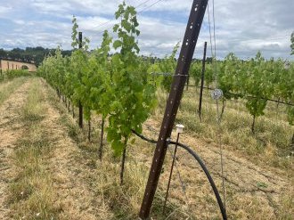 Projet transfrontalier INN-PRATICA : Des experts du Var et de la Corse en Toscane pour un colloque sur l'agriculture du futur