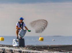 Aquafrais Cannes : Fermiers de la mer depuis 35 ans