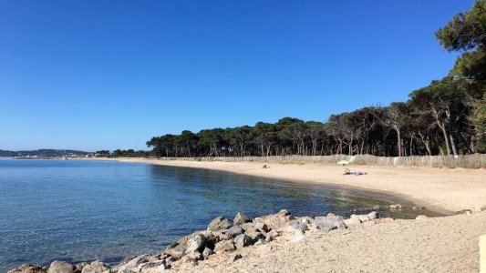 Var Tourisme lance l'opération « Solidaires de nos filières » !