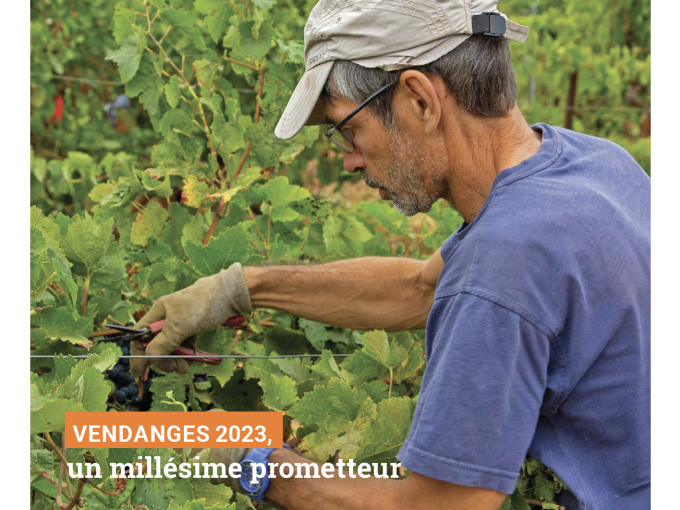Petites Affiches VAR (…)