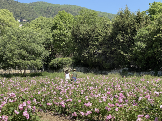 "European Fragrance Cities" : lancement ce 1er juin du Club Européen des Maires des villes de la Parfumerie 