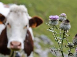Contrat de Transition Écologique CTE : faciliter une activité économique respectueuse de l'environnement