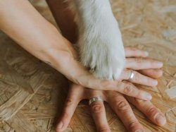 Marie-Cécile Lasserre : « Le droit de l'animal n'est pas en avance », mais les lignes bougent