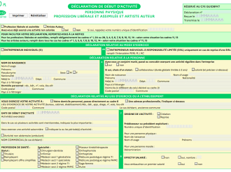 Formulaire P0 PL : déclaration de début d'activité pour une profession libérale et assimilée