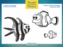 Pour vos enfants téléchargez le cahier de coloriage du musée océanographique !