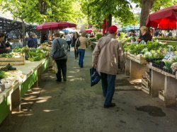 Cap Azur mutualise ses projets alimentaires territoriaux à l'échelle métropolitaine