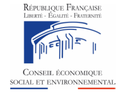 Économie du sport : le CESE appelle à moderniser un secteur en plein développement