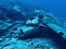 Crash de la Caravelle Ajaccio-Nice : une opération de relevage des débris jugée faisable