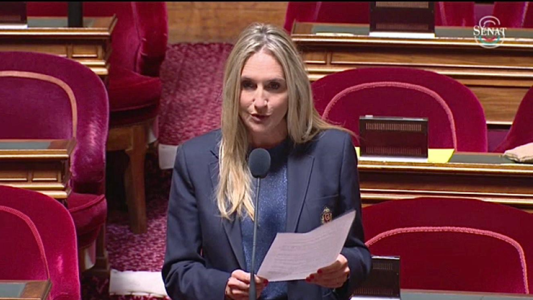 Université Côte d'Azur : Alexandra Borchio Fontimp relance au Sénat la question des moyens alloués